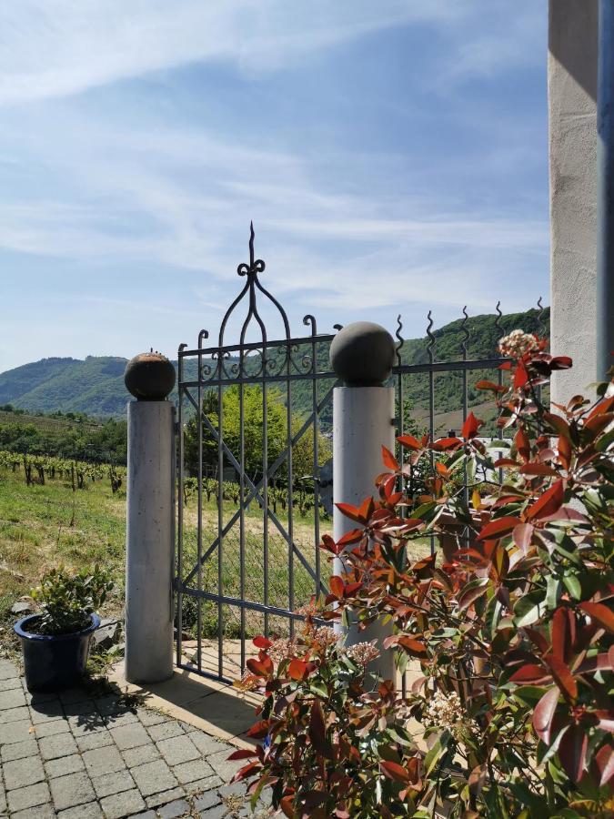 Appartement Weingut Amlinger&Sohn à Neef Extérieur photo